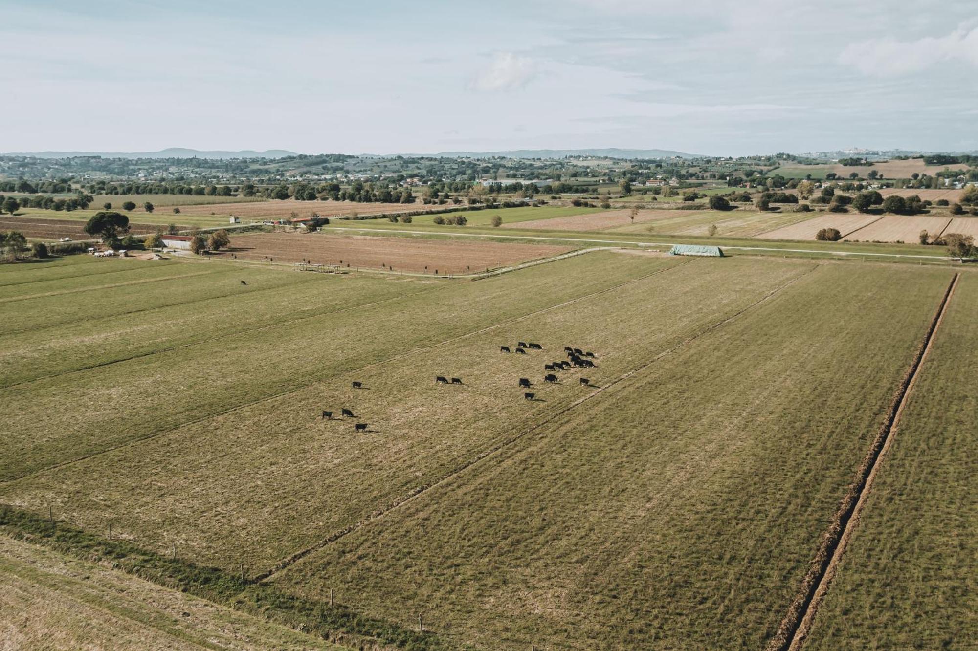 Podere Il Belvedere Su Cortona Castiglion Fiorentino Exteriér fotografie